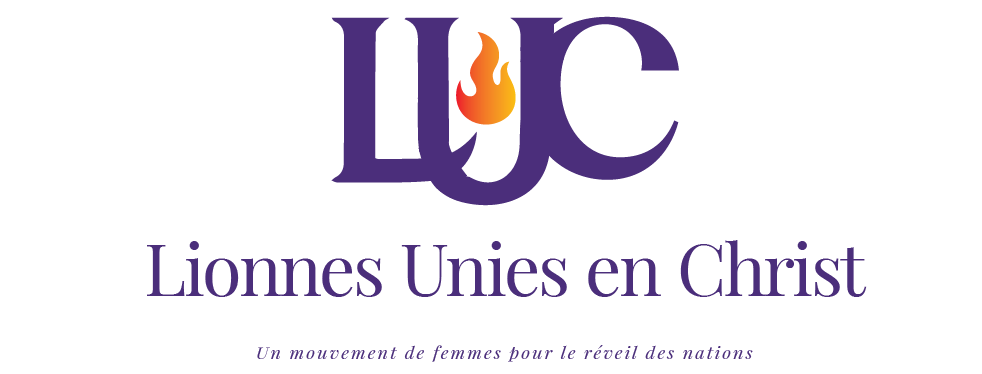 Primary Logo — Light Background